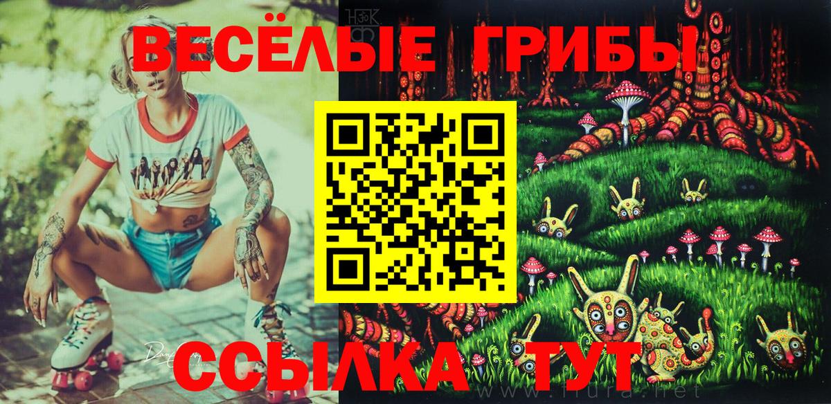 Джанкой  Псилоцибиновые грибы мухоморы  Псилоцибиновые грибы Cubensis  Вход с VPN 